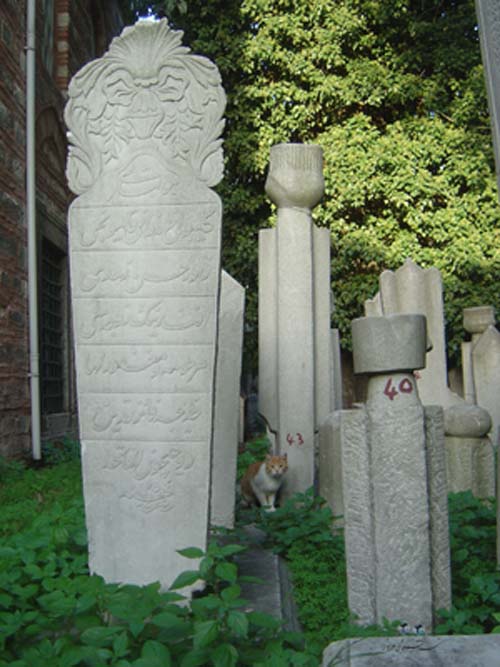 Istanbul  University